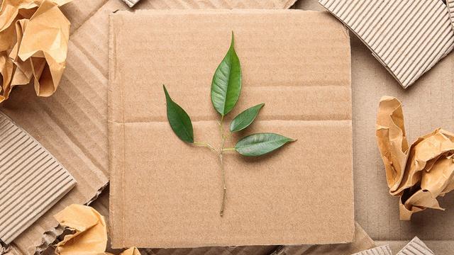 Sustainable Packaging: Why It Matters for Your Health and the Planet